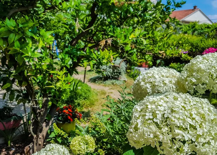 With A Parking Space Kastel Stafilic, - 14714